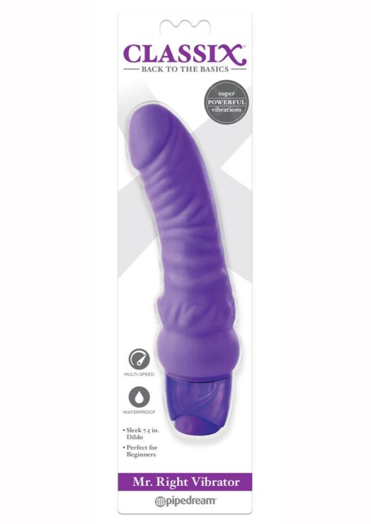 Mr Right Vibrator Purple