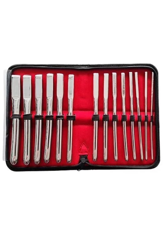 Rouge Hegar Stainless Steel Urethral Dilator Set (14 piece)