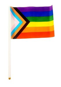 Prowler Progressive Flag Handheld 5in x 8in