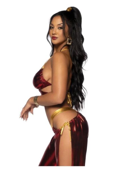 Leg Avenue Ruby Desert Princess Lame Bikini Top and Split Leg Cut-Out Harem Pants with Side Ties (2 Piece) - Medium - Red