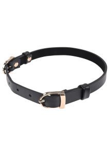 Sex and Mischief Double Buckle Day Collar - Black/Gold