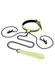 WhipSmart Glow in the Dark Collar with Nipple Clips and Leash - Green
